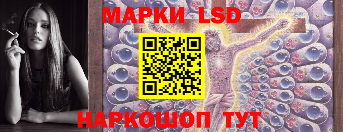 Чернушка  Наркотические марки 1,5мг  Наркотические марки  Наркотические марки 1,5мг  Вход с VPN 